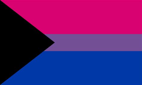 demisexual and bisexual flag